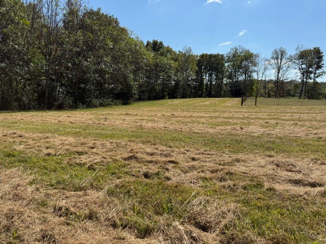555 Smith Rd Property Photo 14