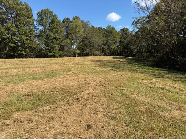 555 Smith Rd Property Photo 15
