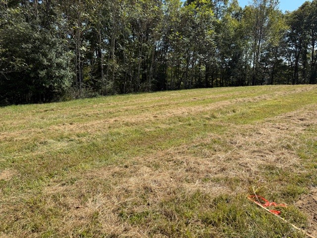 555 Smith Rd Property Photo 24