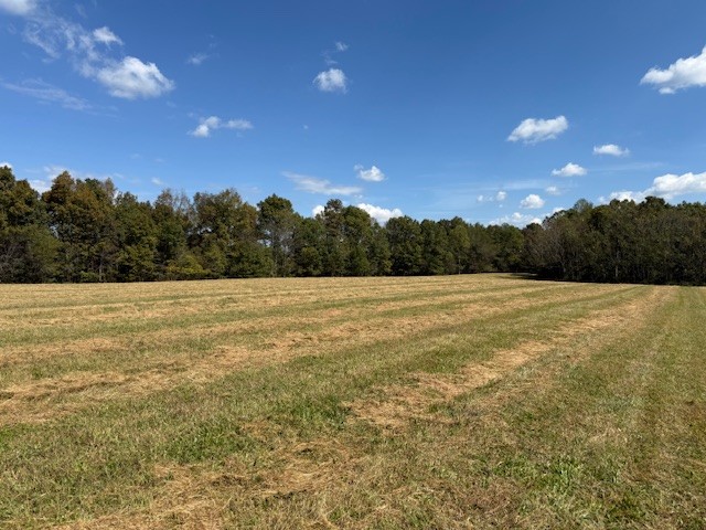 555 Smith Rd Property Photo 28