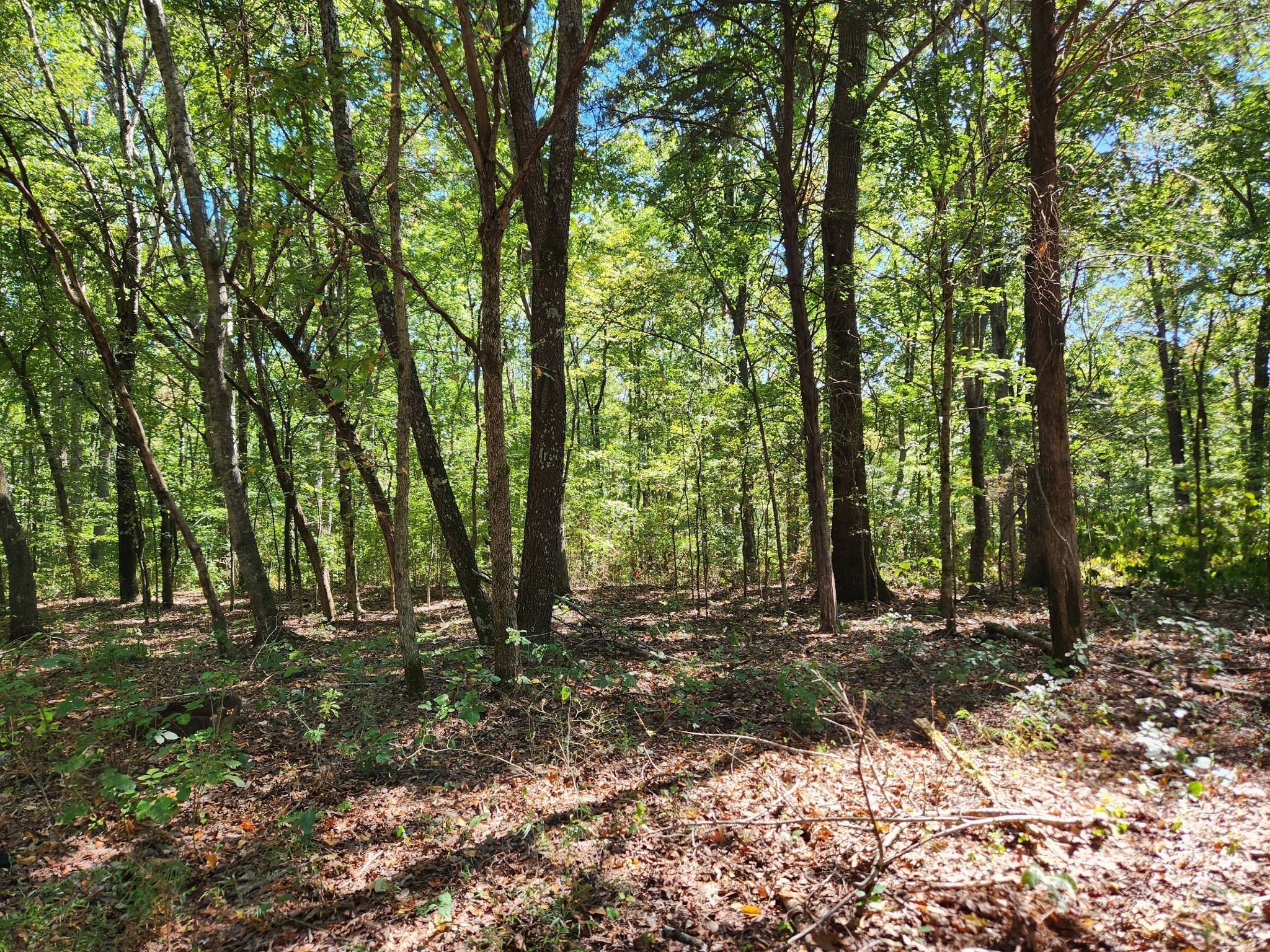 138 Vaughn Rd Property Photo 18