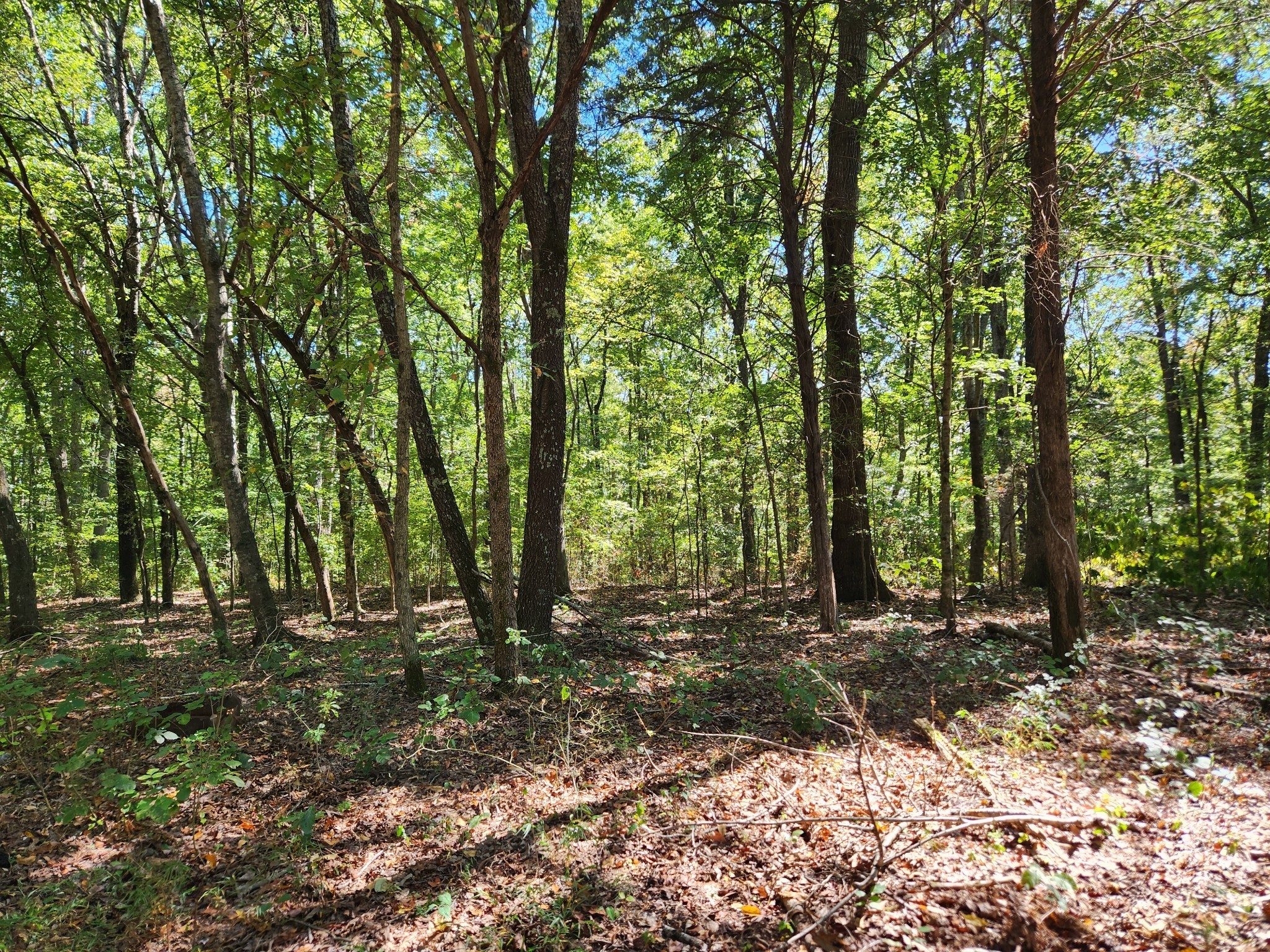 138 Vaughn Rd Property Photo 18