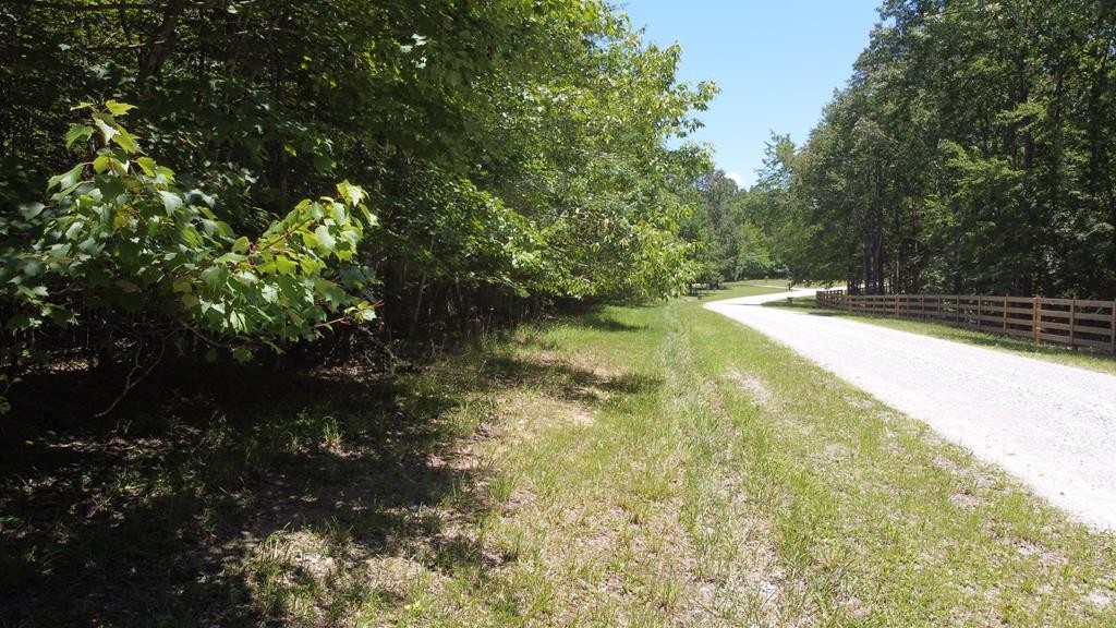0 Camp Creek Rd Property Photo 1
