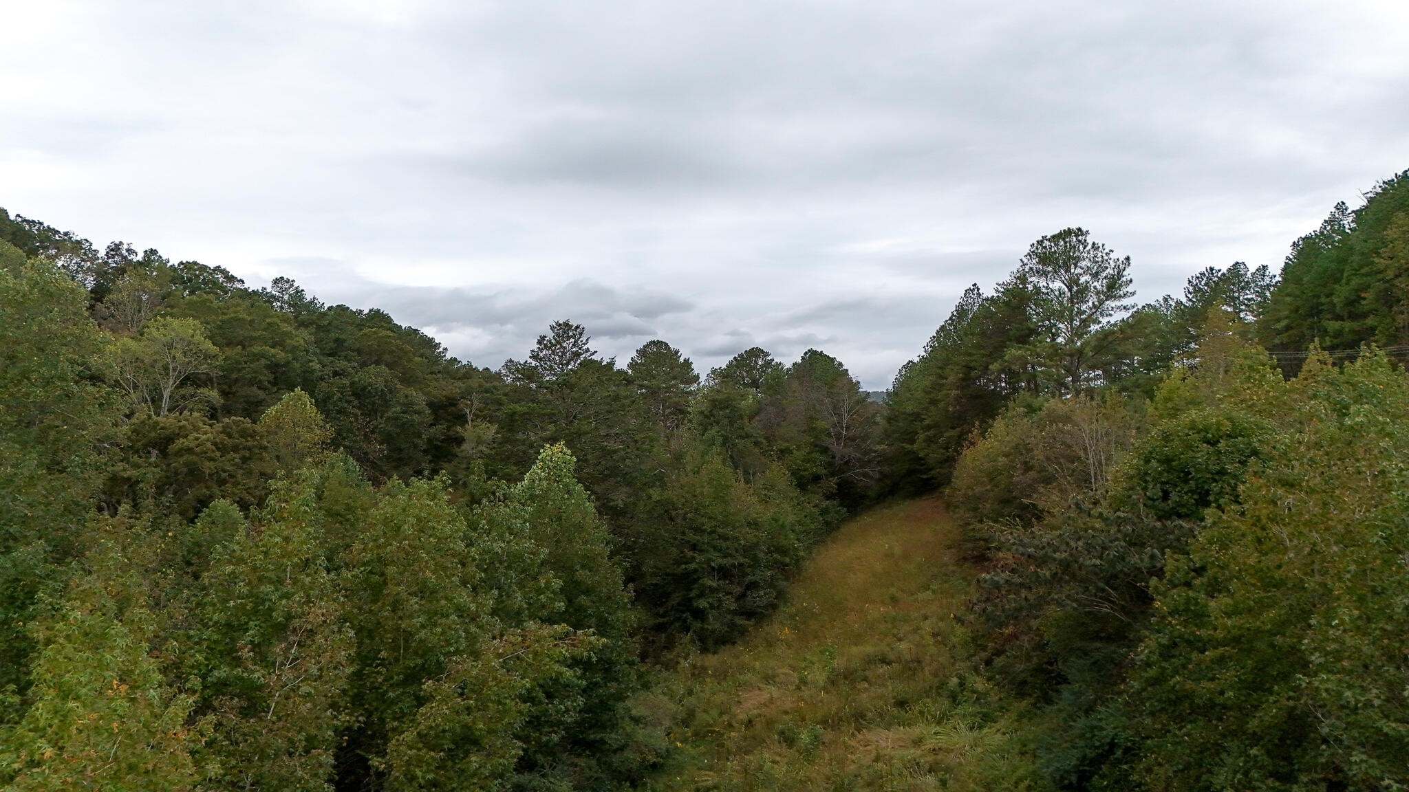 0 Greenwood Road Property Photo 3