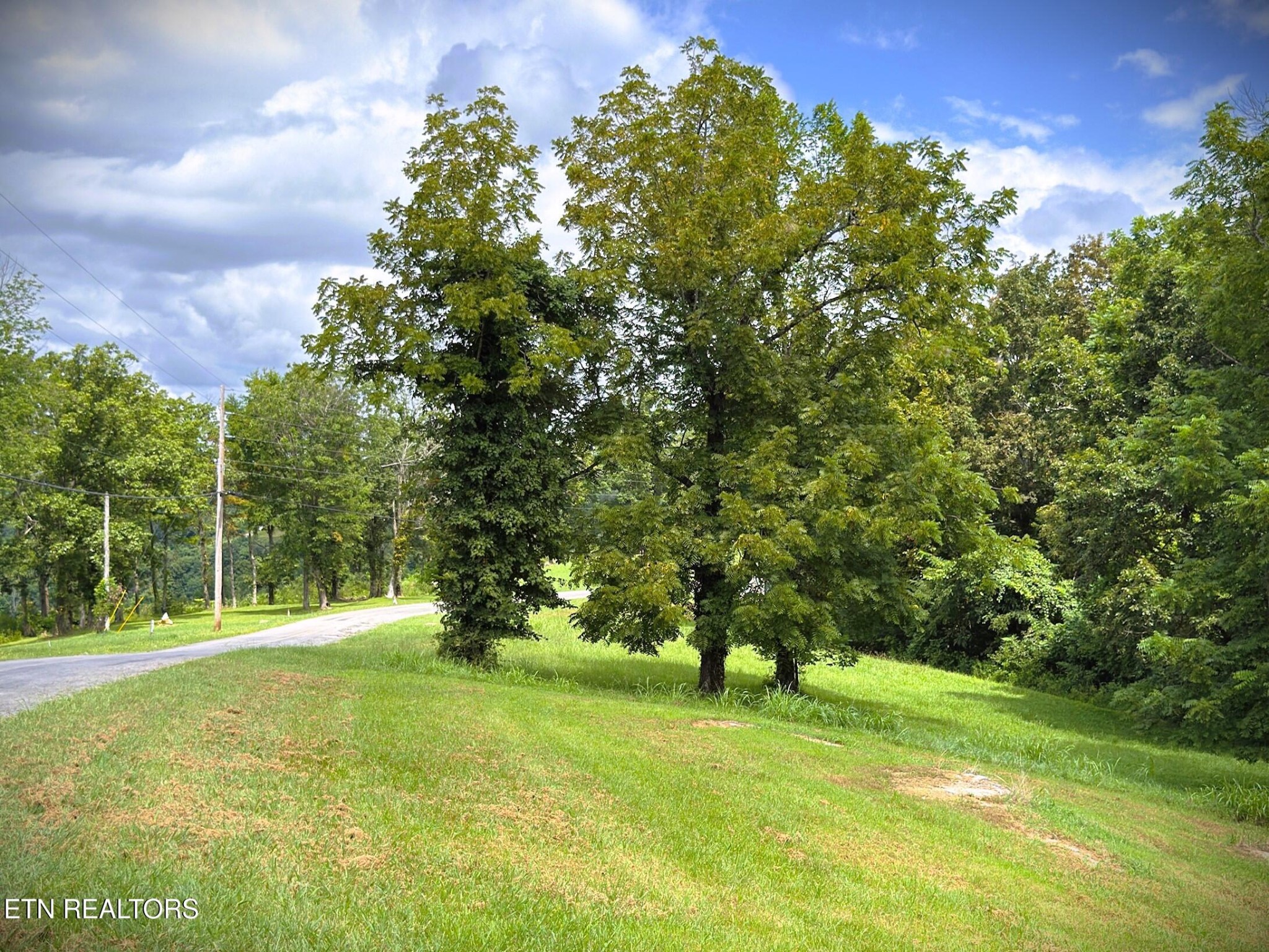 15 Swan Ridge Rd Property Photo 13