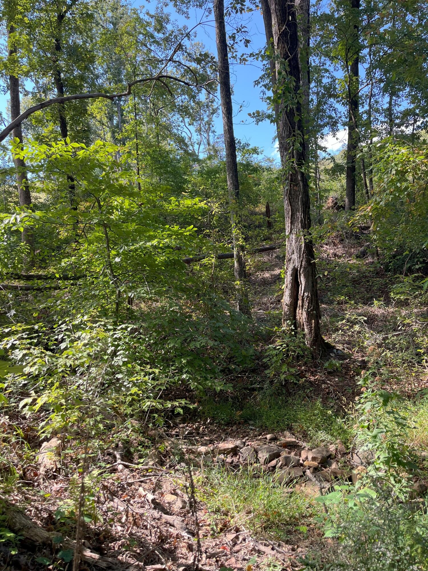 0 N Dug Gap Road Property Photo 3