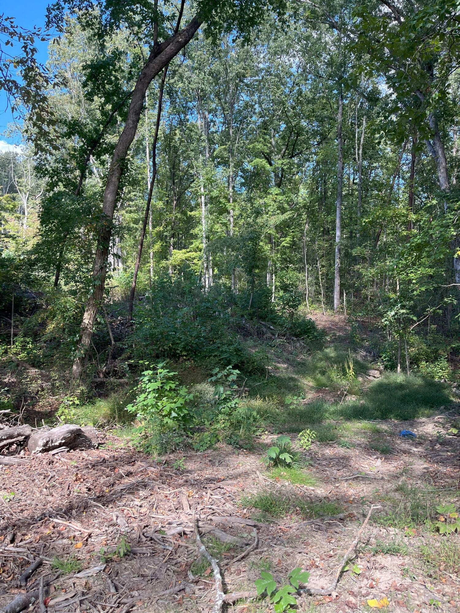 0 N Dug Gap Road Property Photo 5