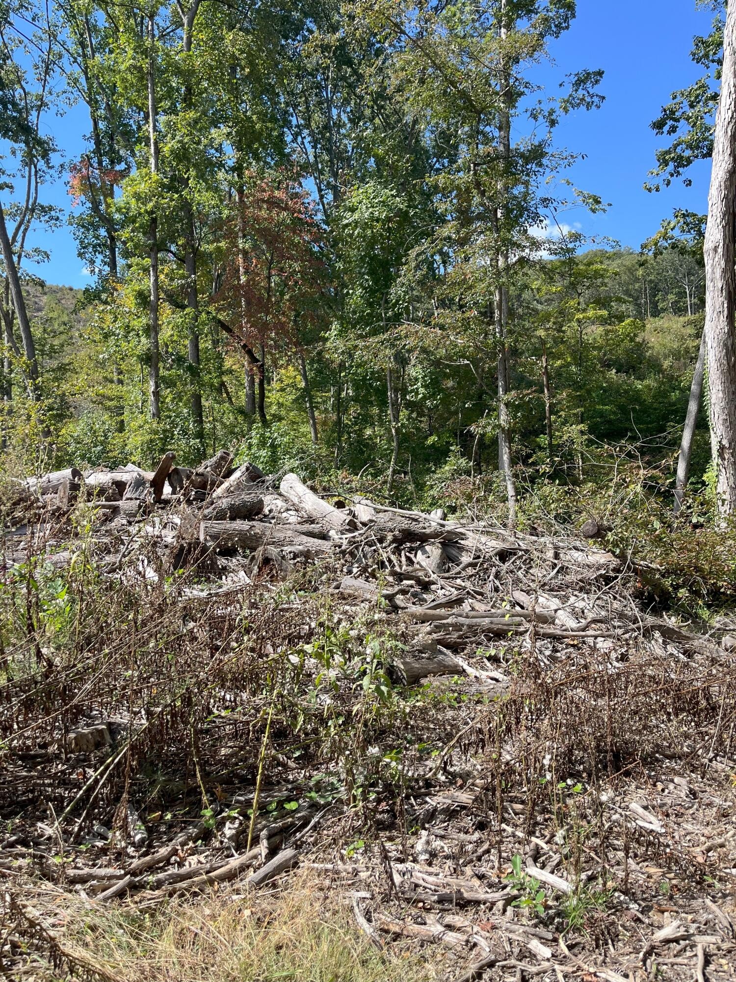 0 N Dug Gap Road Property Photo 6