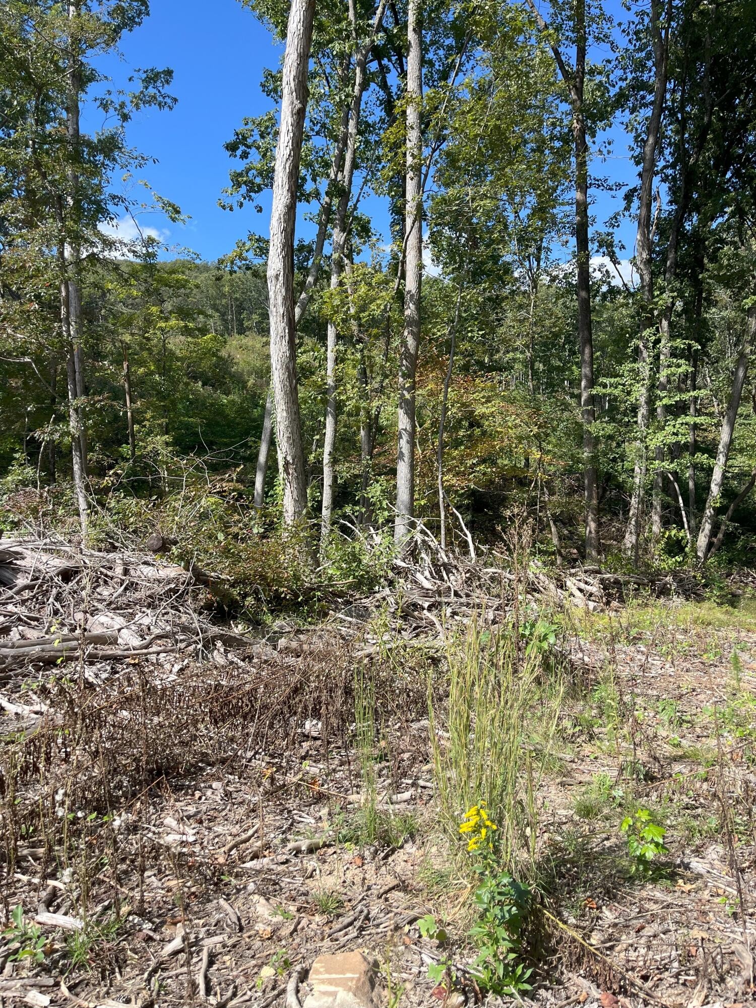 0 N Dug Gap Road Property Photo 7