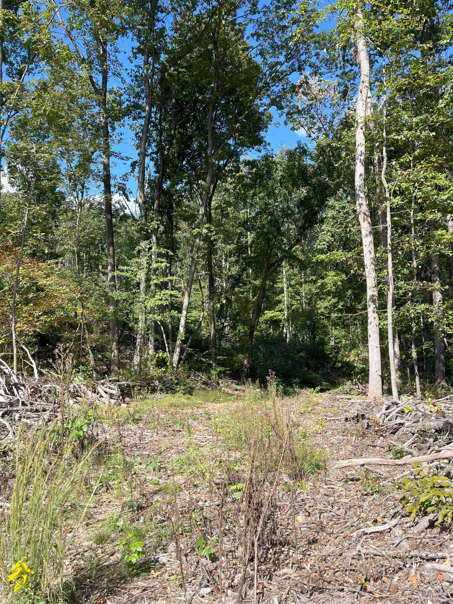 0 N Dug Gap Road Property Photo 8