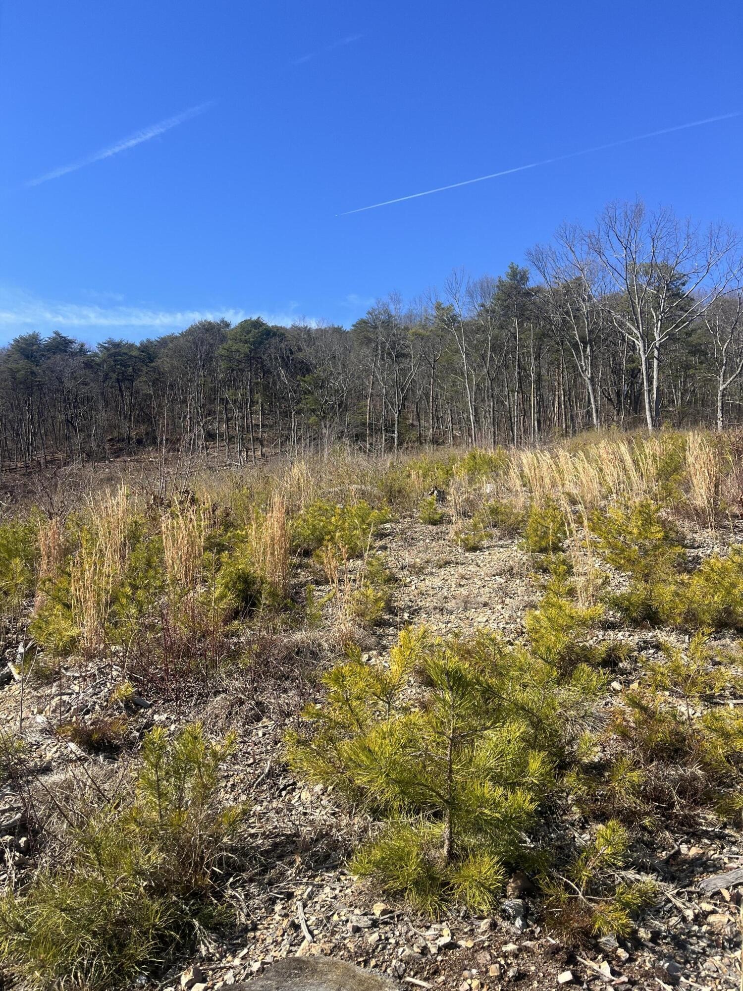 0 N Dug Gap Road Property Photo 10