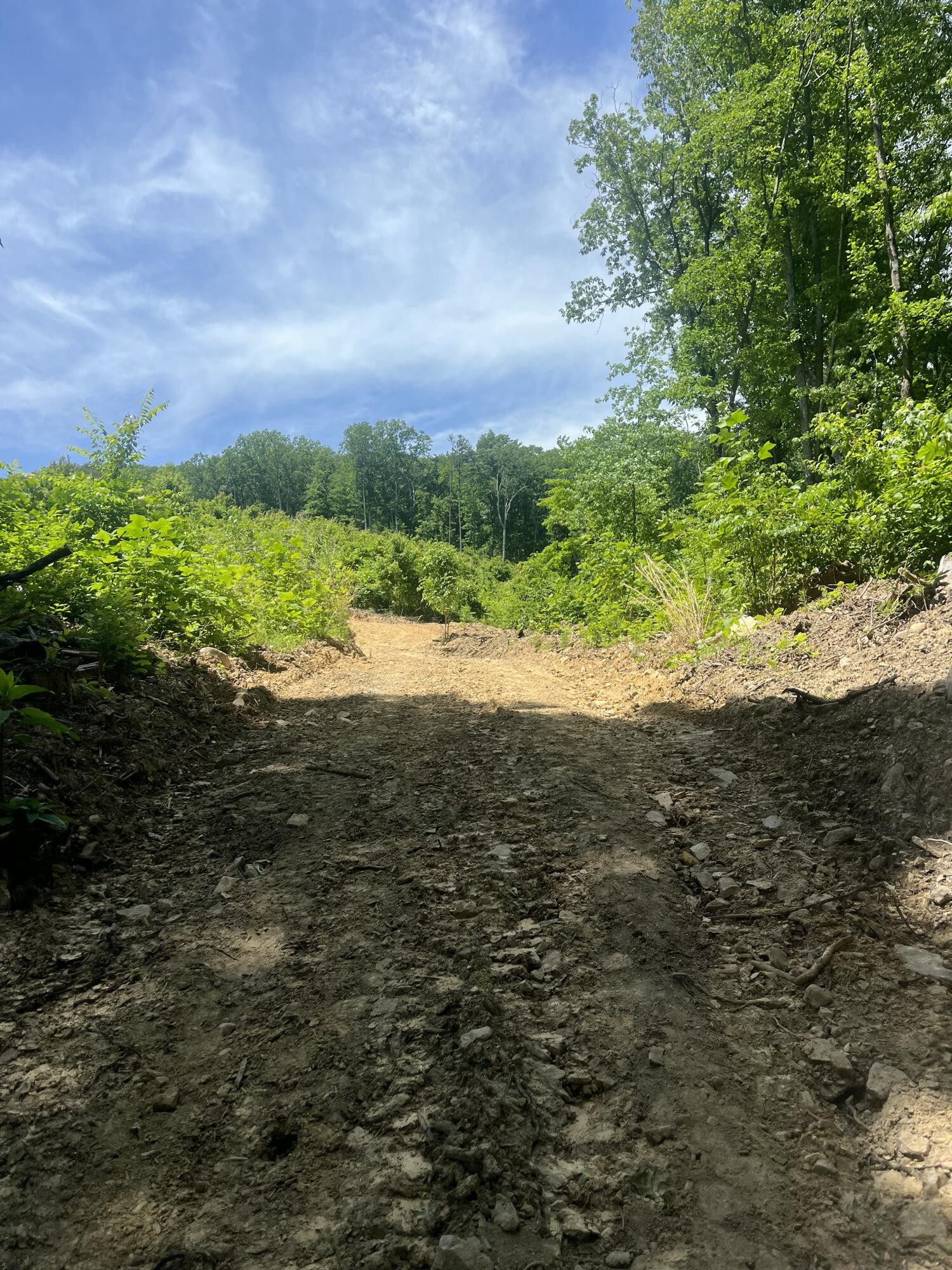 0 N Dug Gap Road Property Photo 18