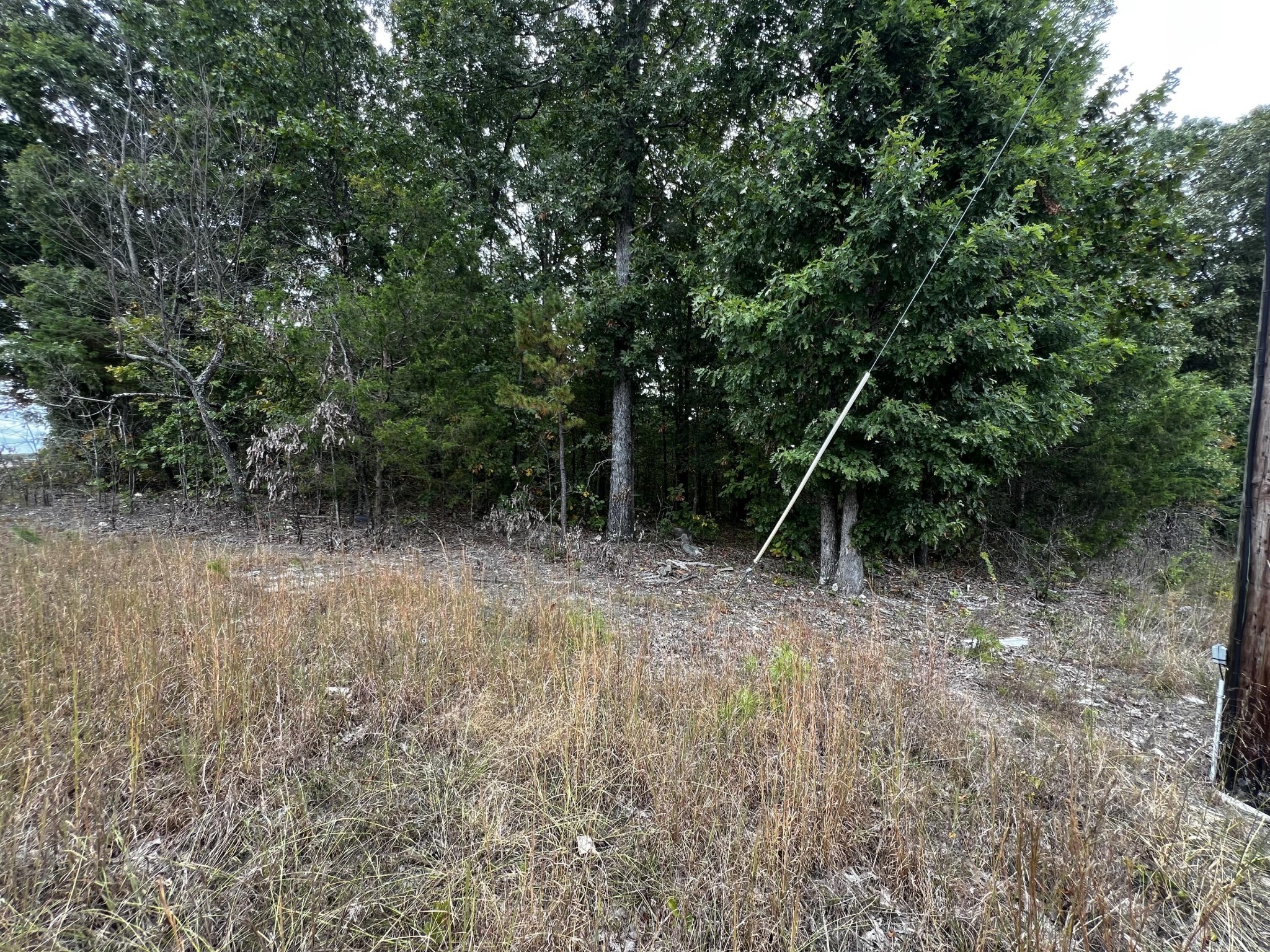 0 Bork Memorial Drive Property Photo 3