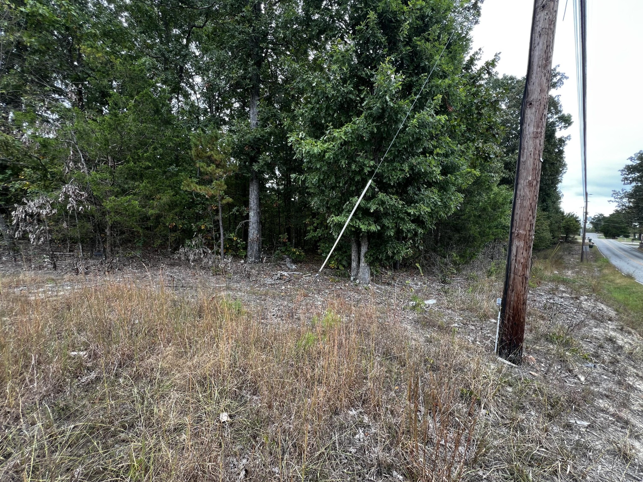 0 Bork Memorial Drive Property Photo 4