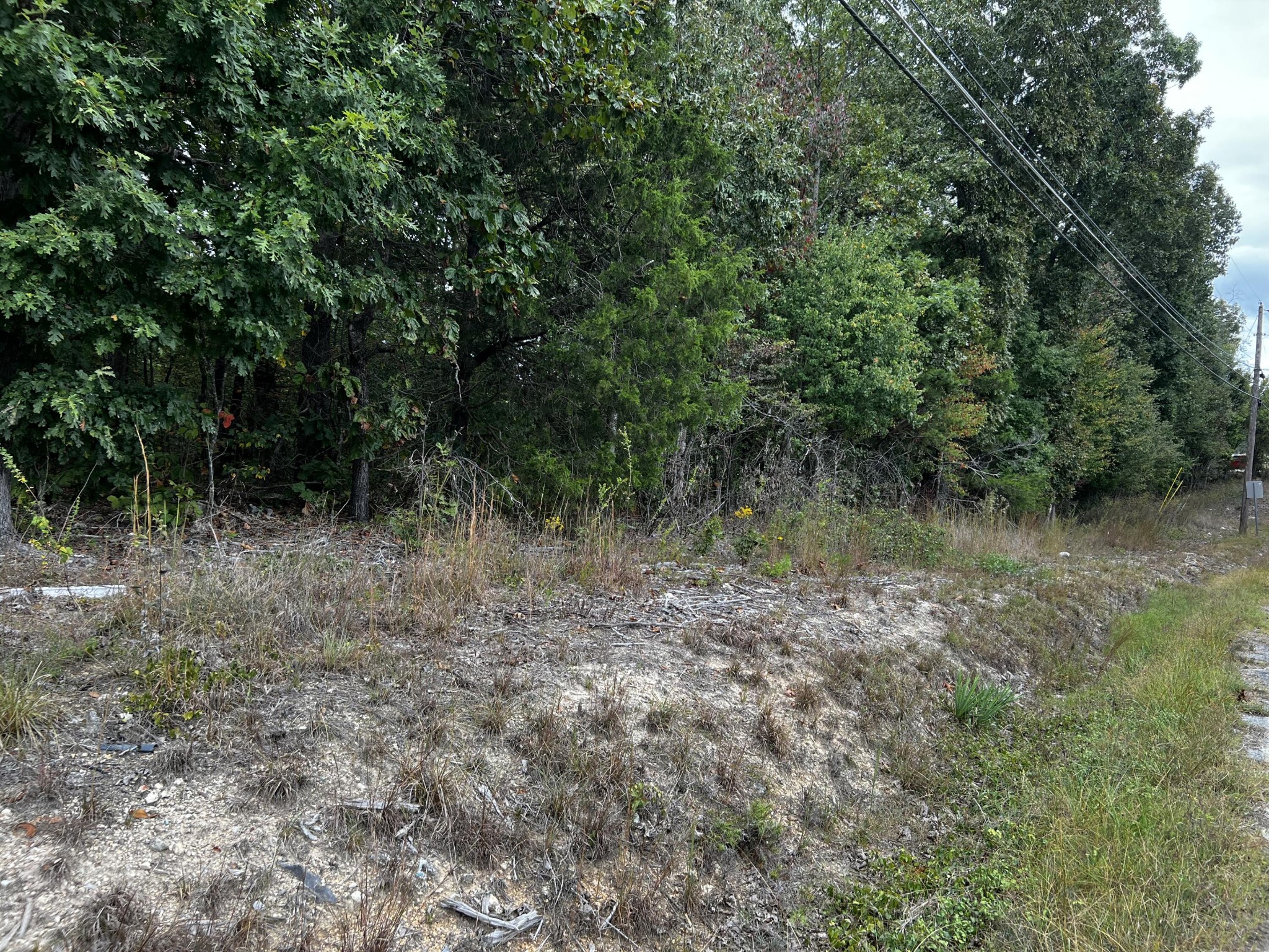 0 Bork Memorial Drive Property Photo 6