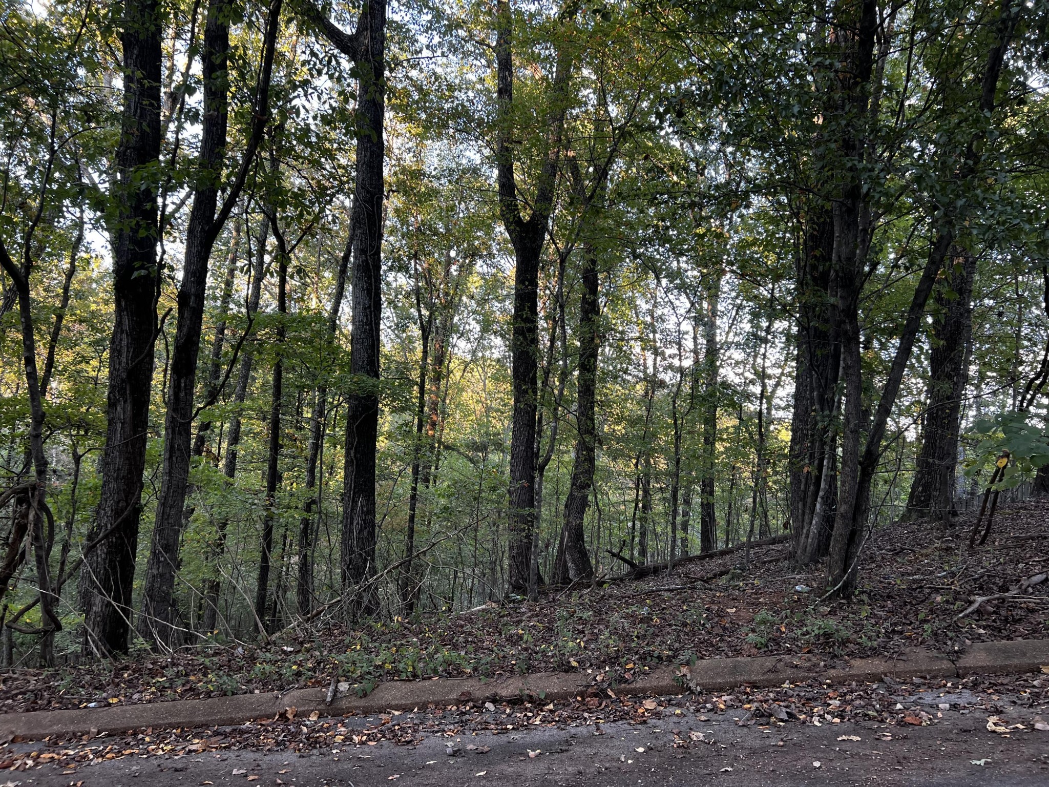 6604 Declaration Drive Property Photo 5