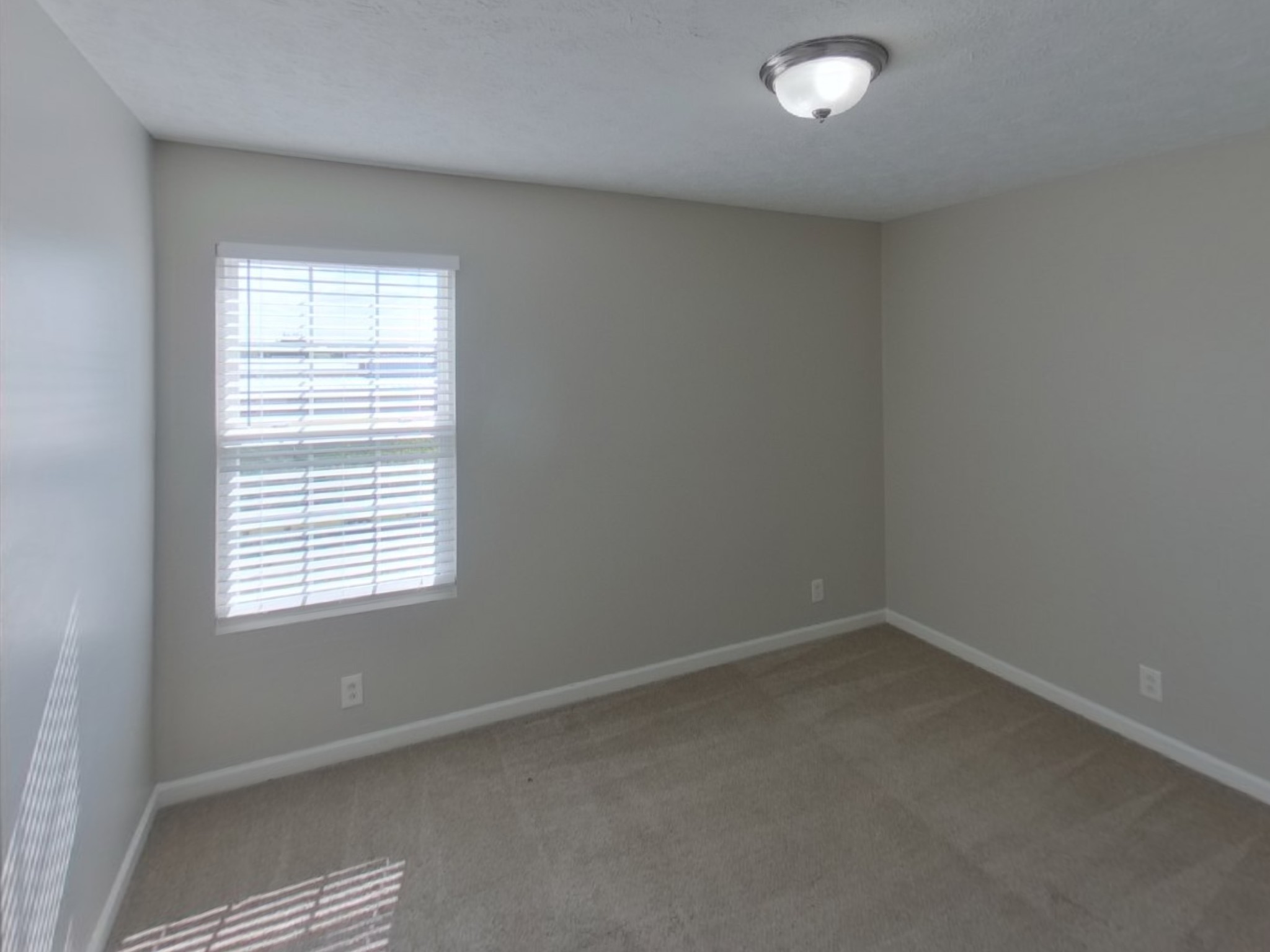 2616 Apostle Ln Property Photo 12
