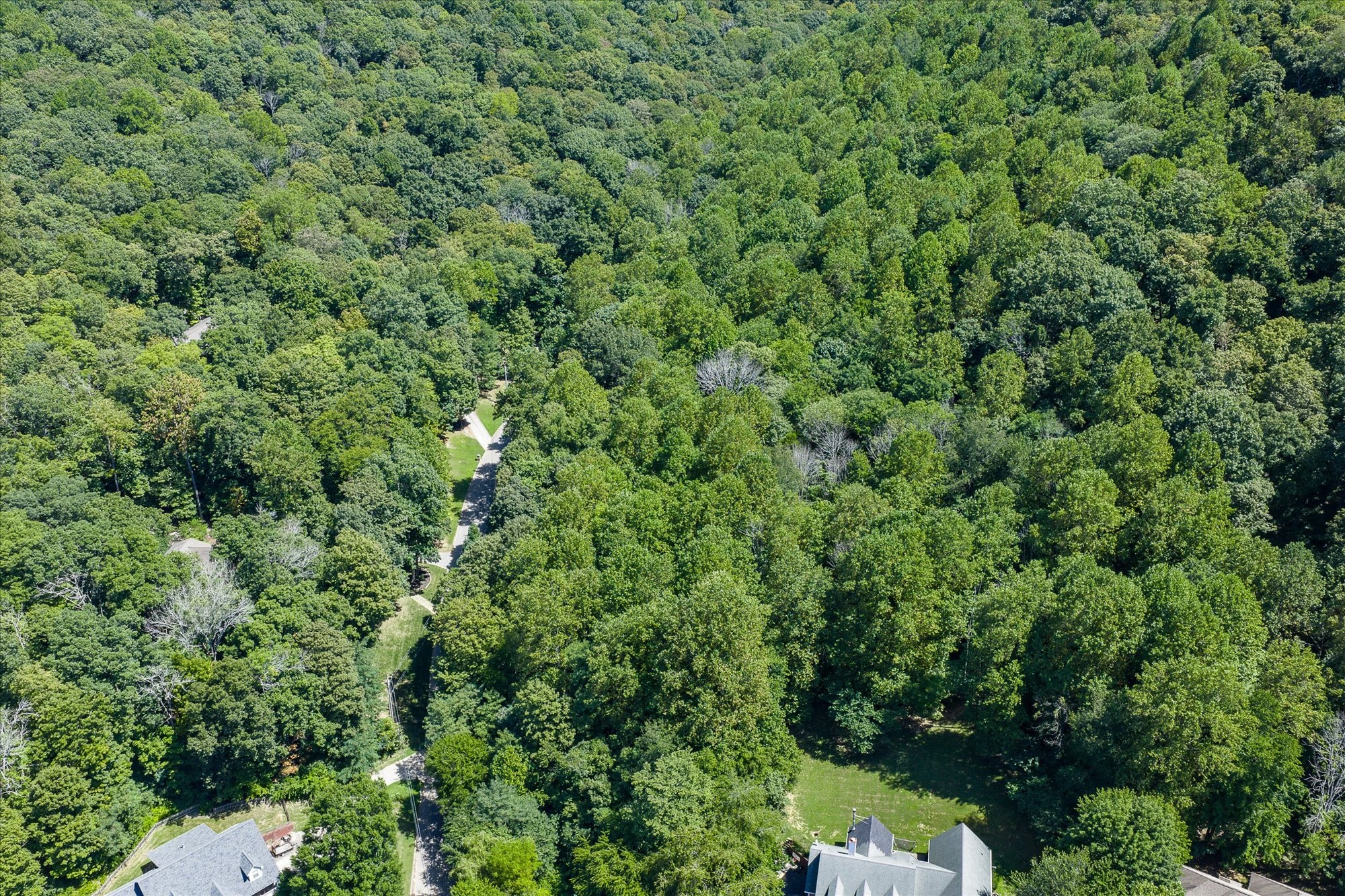 411 Auguste Cir Property Photo 3