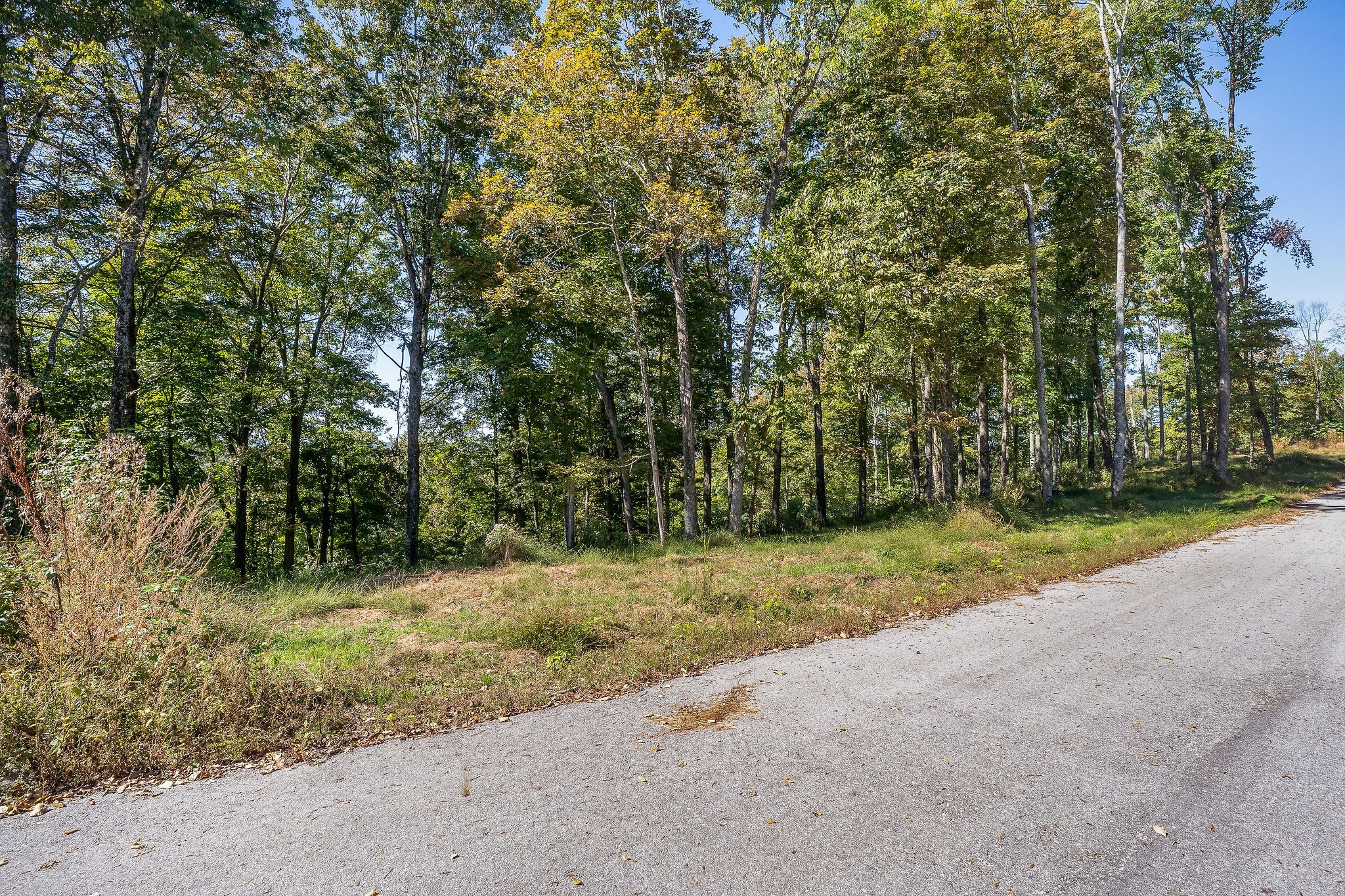 0 Back Ranch Dr Property Photo 12