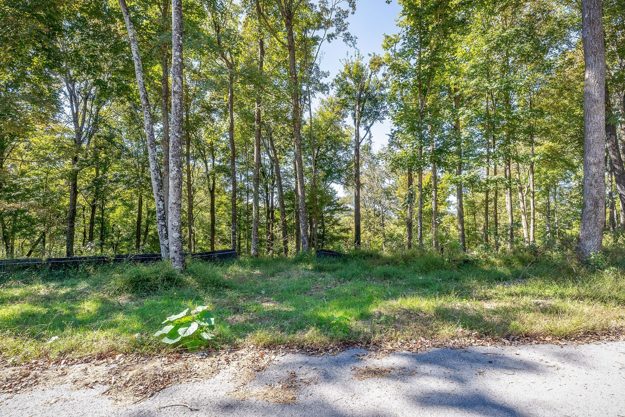 0 Back Ranch Dr Property Photo 13