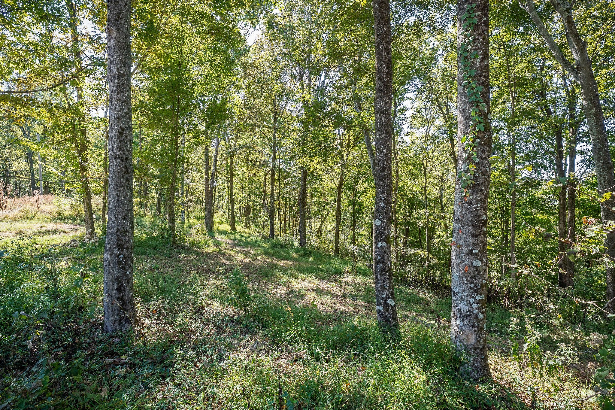 0 Back Ranch Dr Property Photo 14