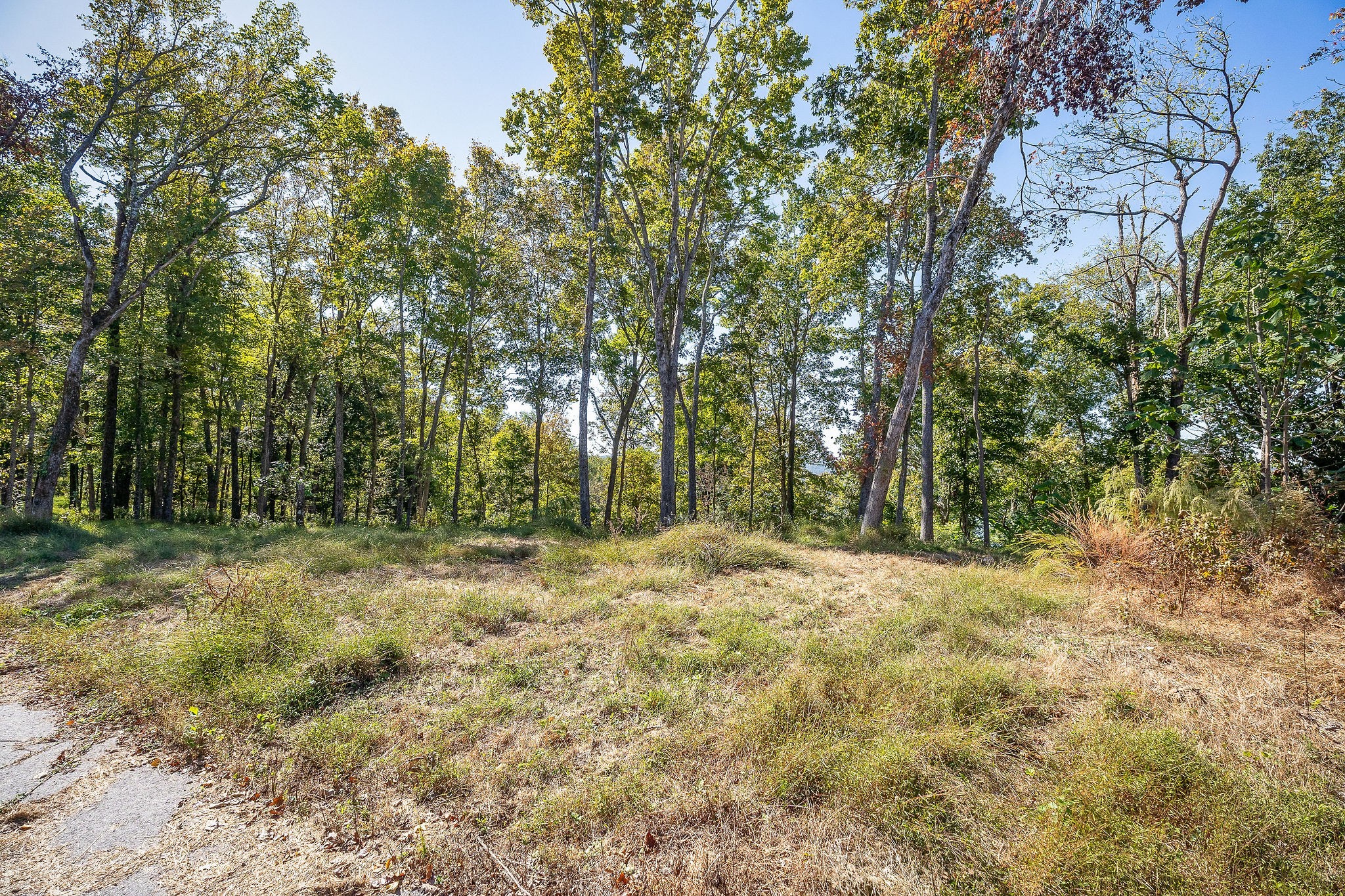 0 Back Ranch Dr Property Photo 15