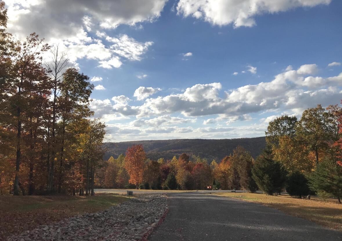 0 Chestnut Oak Drive Property Photo 1