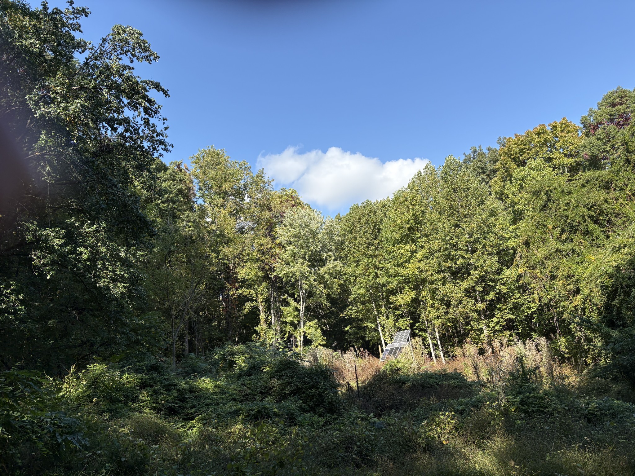 1431 Roarks Cove Rd Property Photo 1