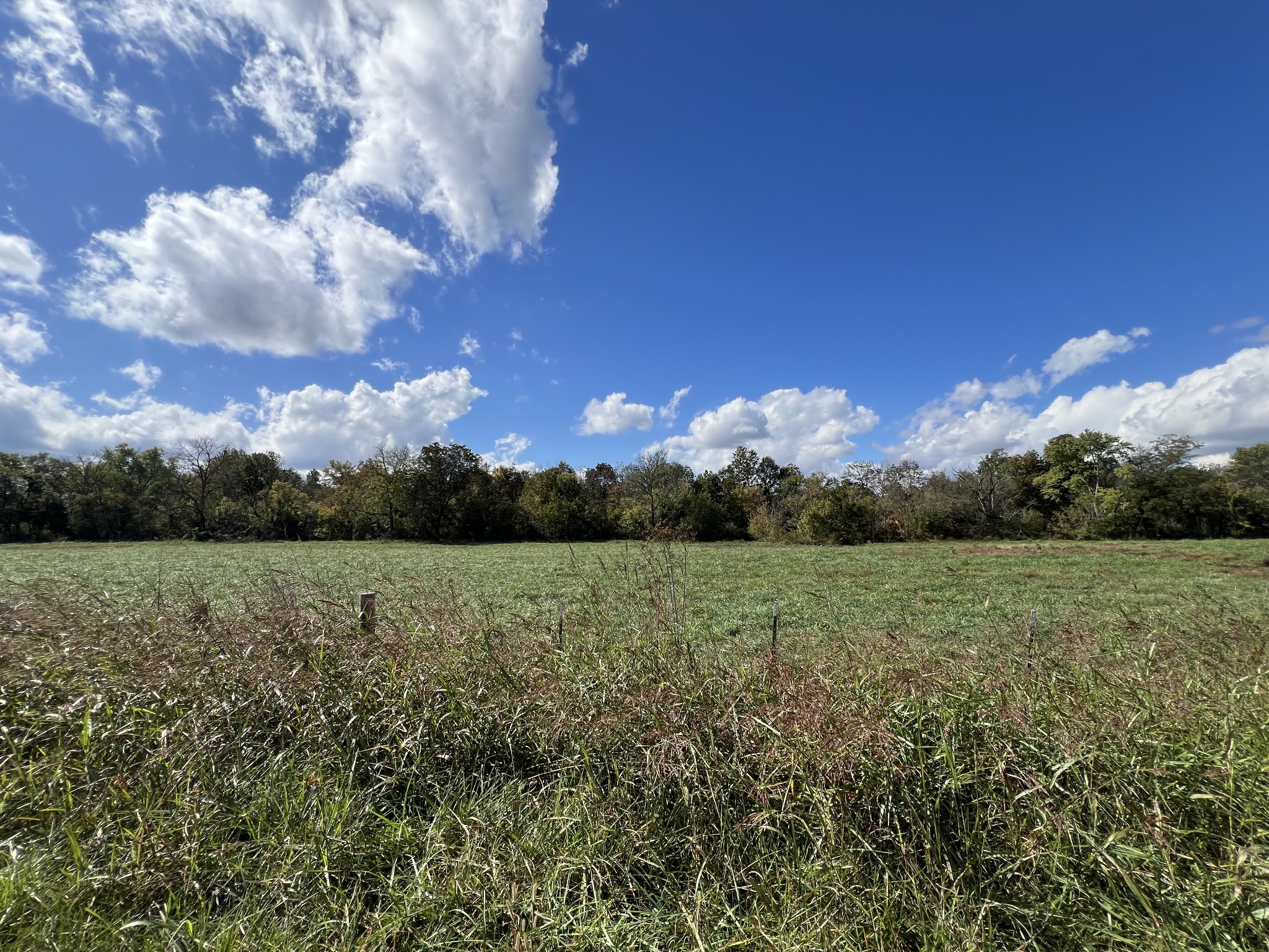 0 Bell Buckle Wartrace Rd Property Photo 1