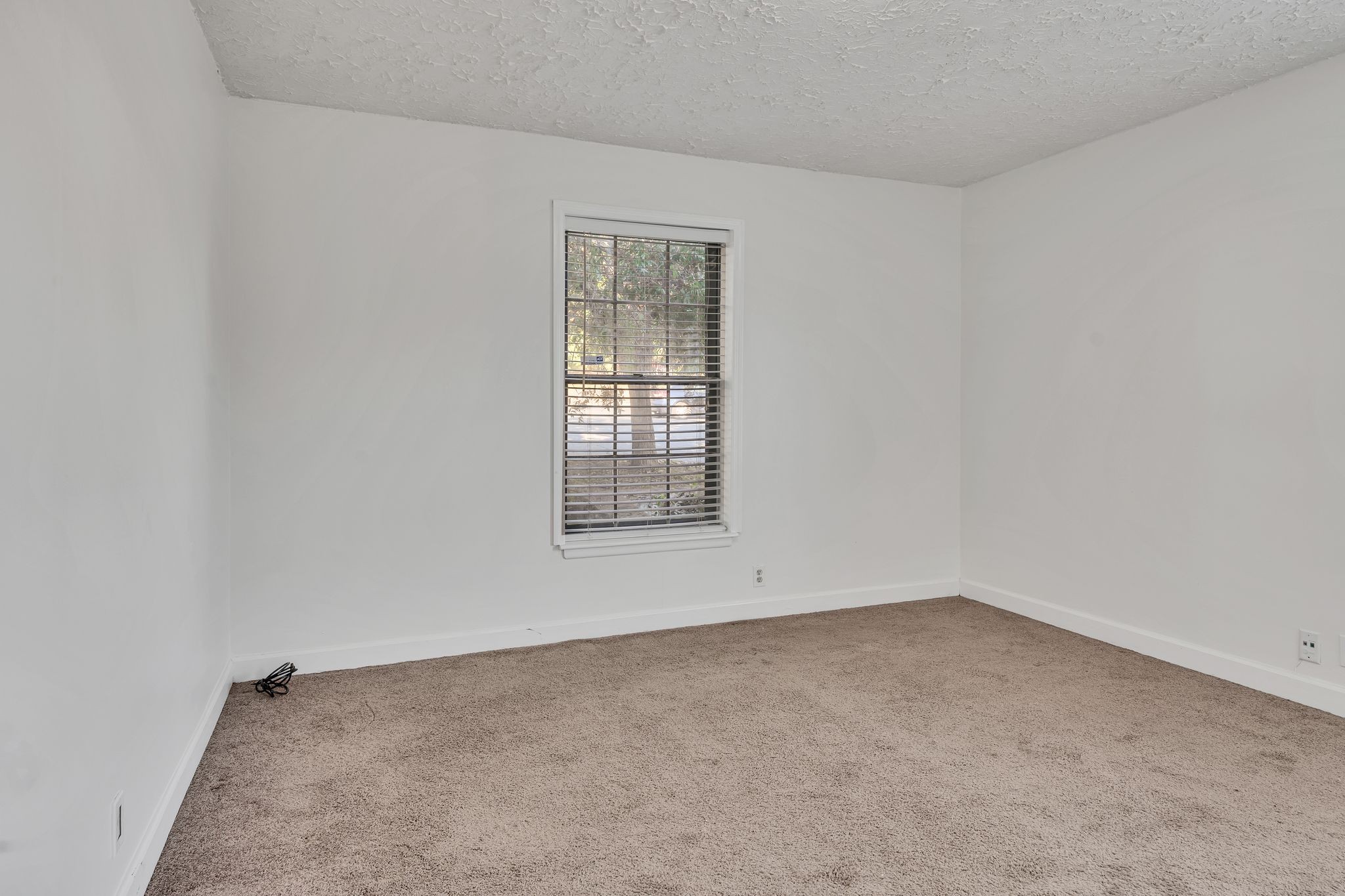 2116 Hobbs Rd Property Photo 26