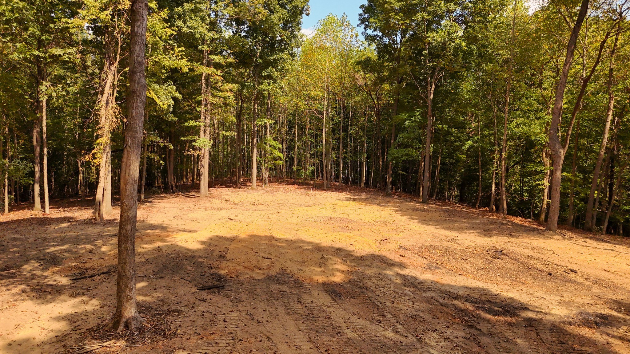 7950 Bill Moss Rd Property Photo 1