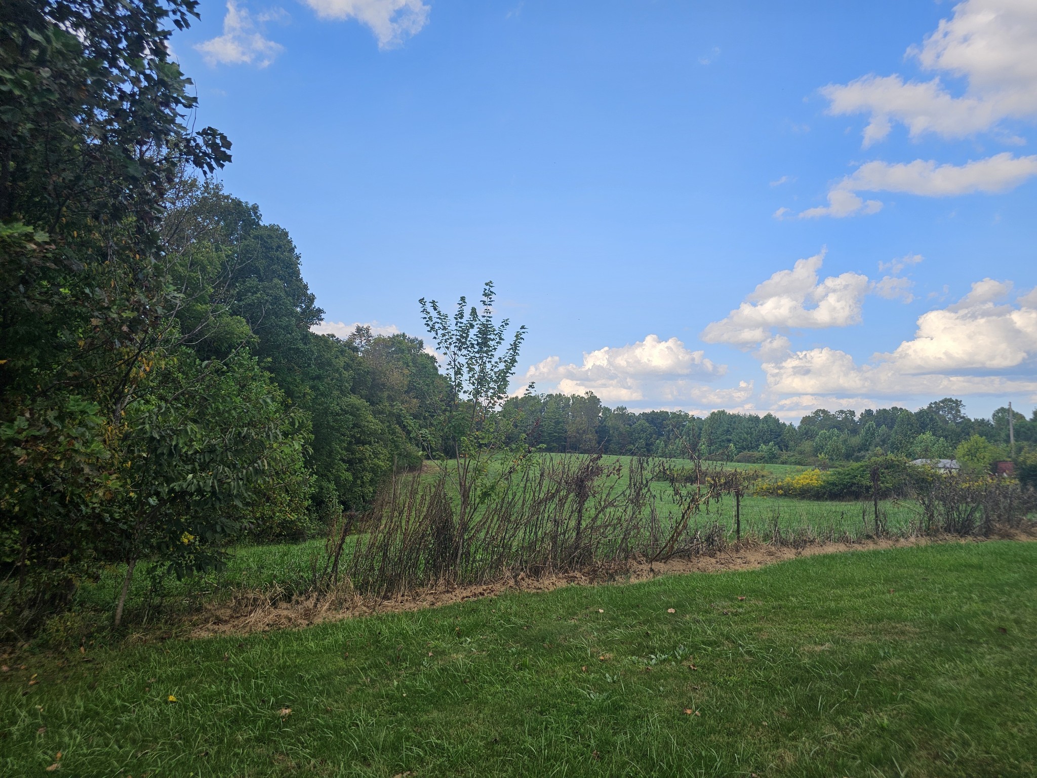 1077 Rock Ave Property Photo 7