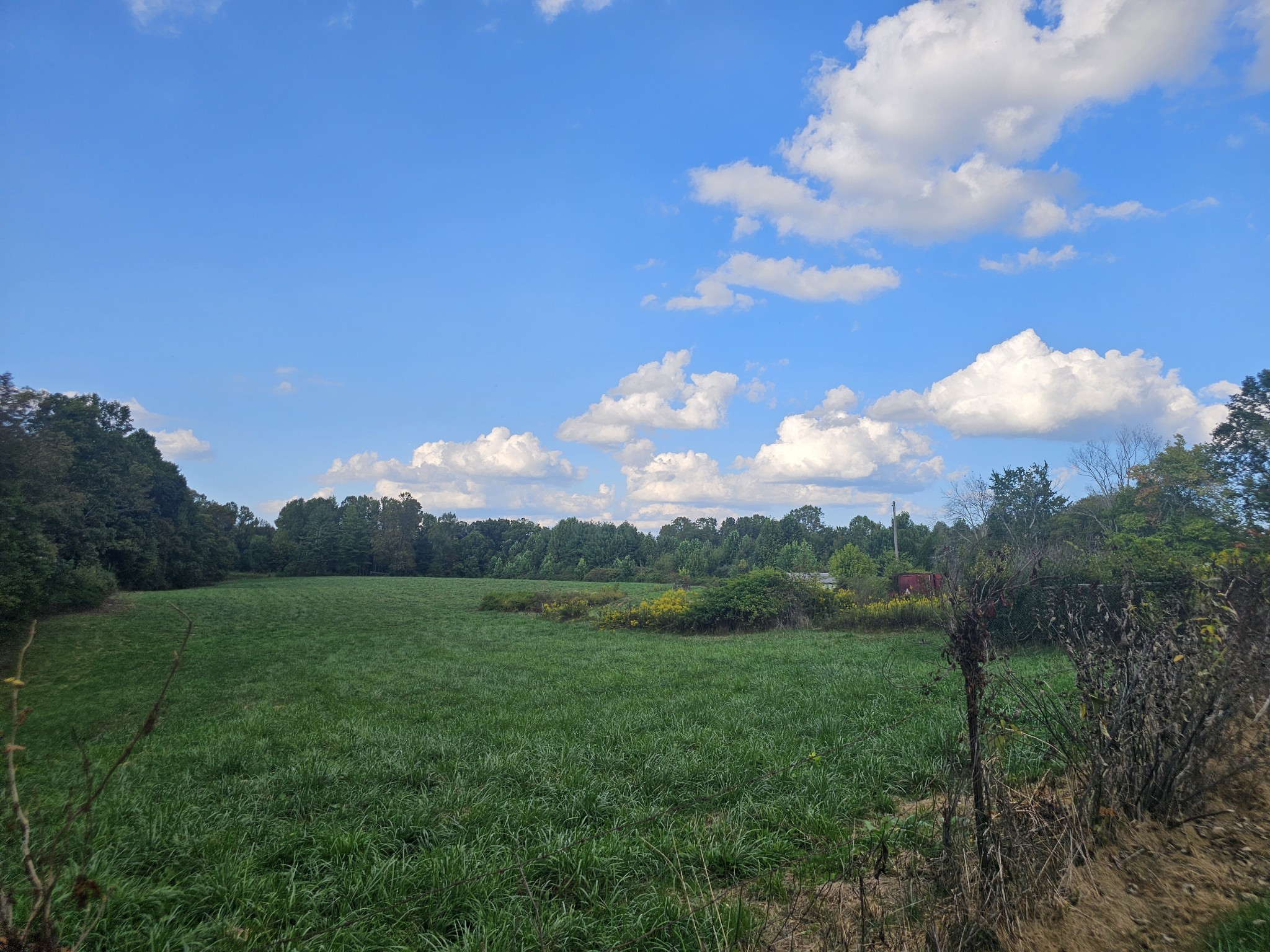 1077 Rock Ave Property Photo 8
