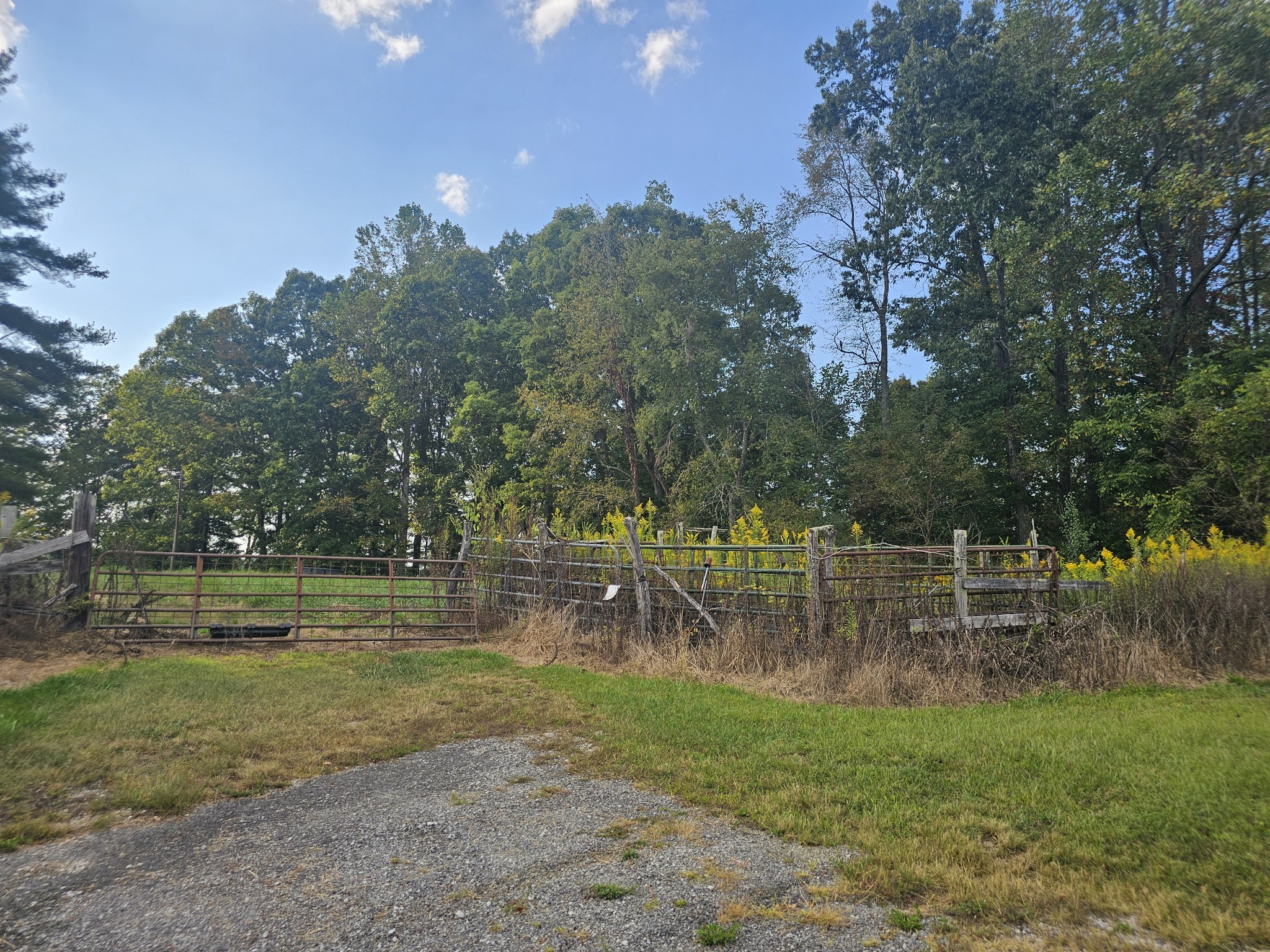1077 Rock Ave Property Photo 10