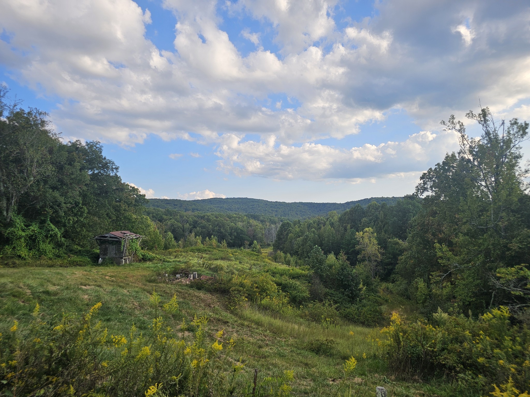 1077 Rock Ave Property Photo 12