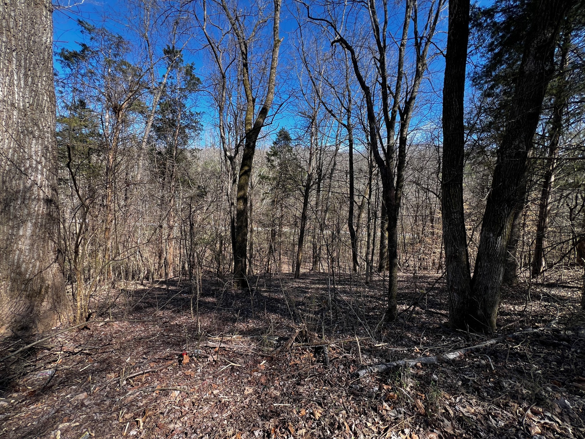 0 Lakeshore Dr Property Photo 1