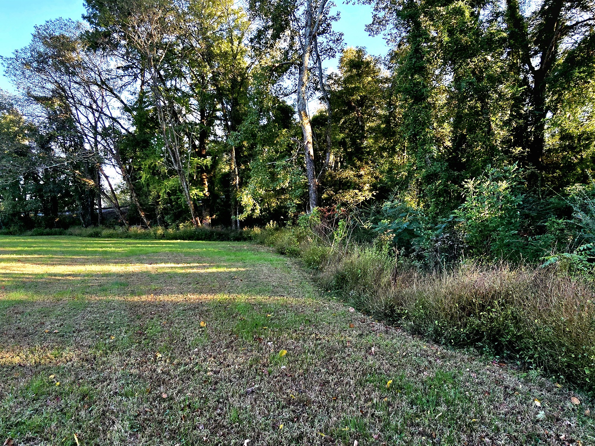 502 Case Rd Property Photo 15