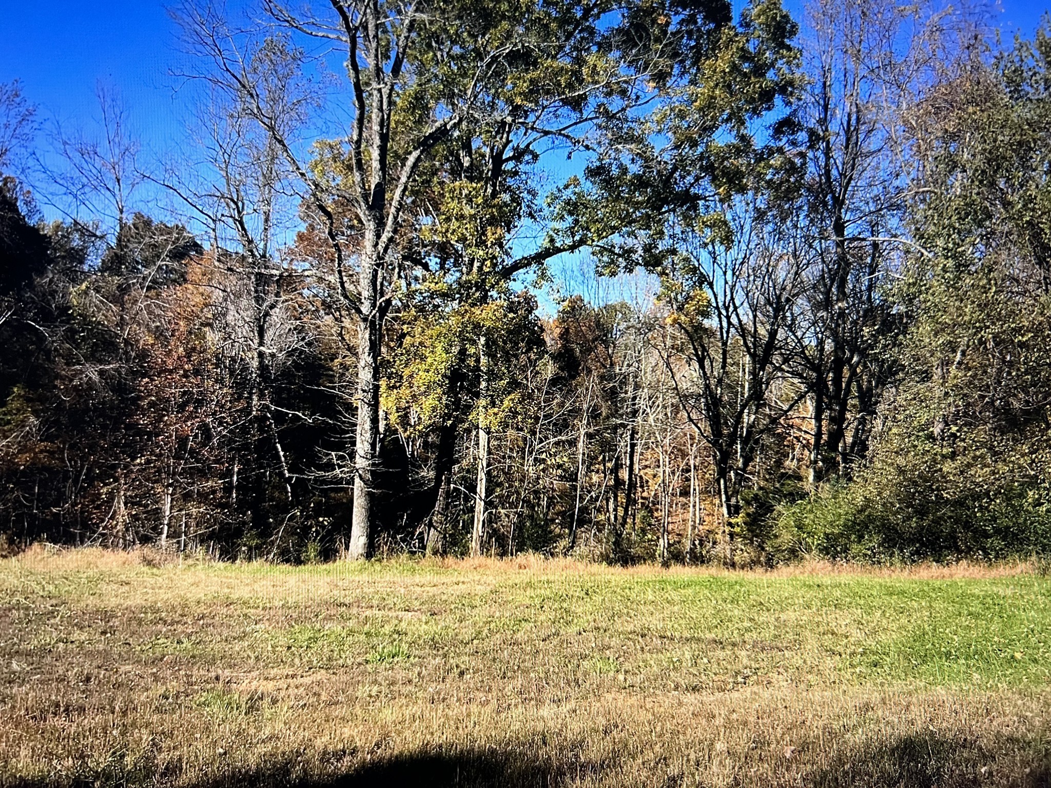 1366 Ridge Cir Property Photo 1