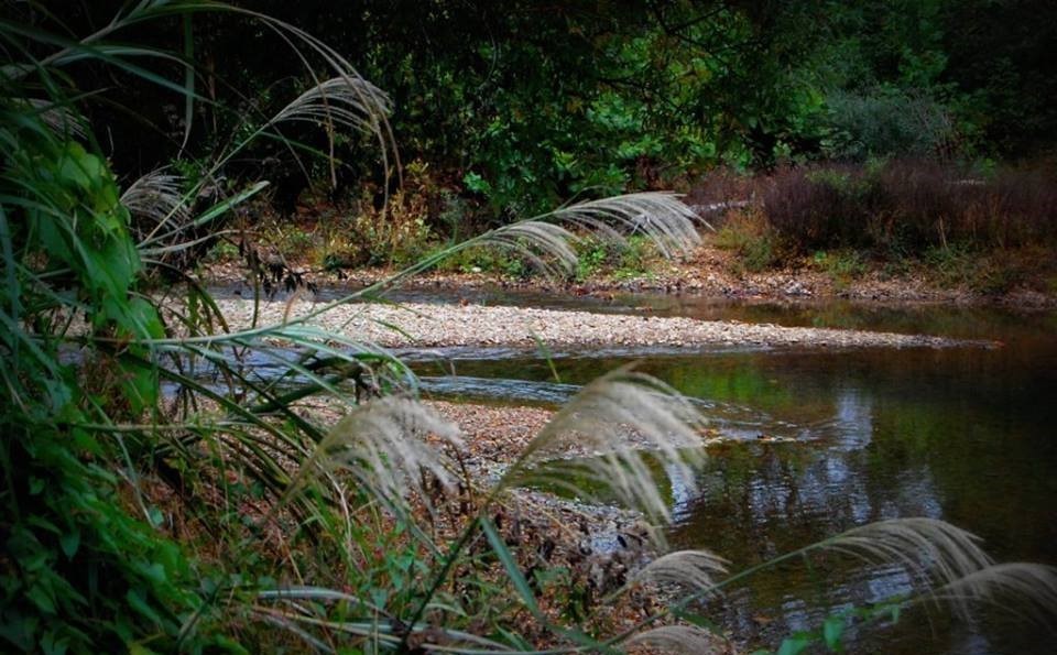 6823 Piney River Rd, N Property Photo 37