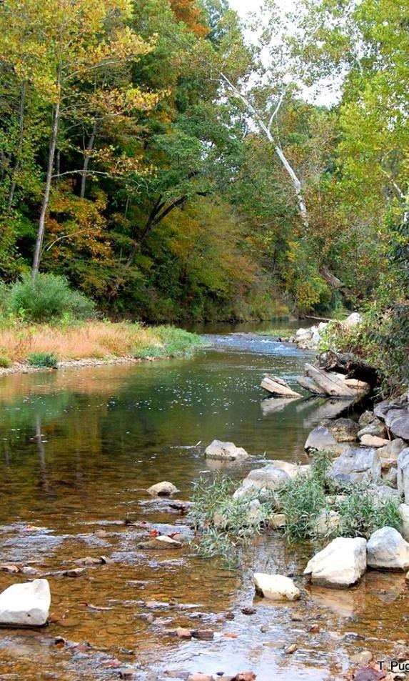 6823 Piney River Rd, N Property Photo 38