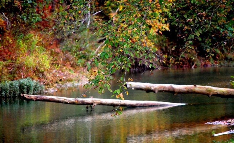 6823 Piney River Rd, N Property Photo 39