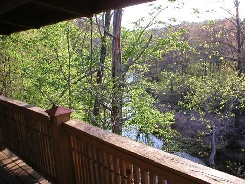 6823 Piney River Rd, N Property Photo 41