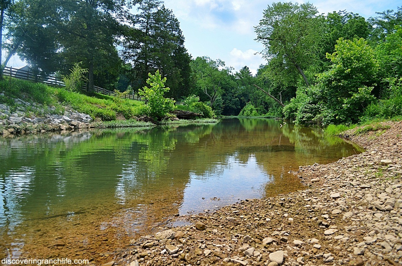 6823 Piney River Rd, N Property Photo 42