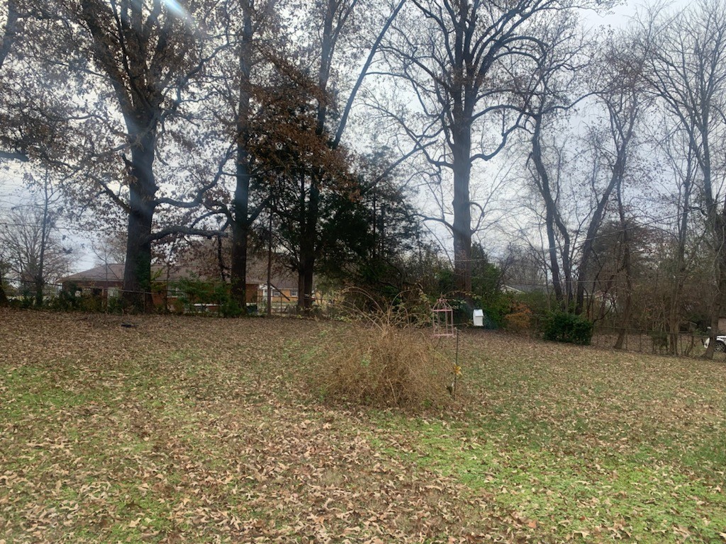 207 Dale Ter Property Photo 16