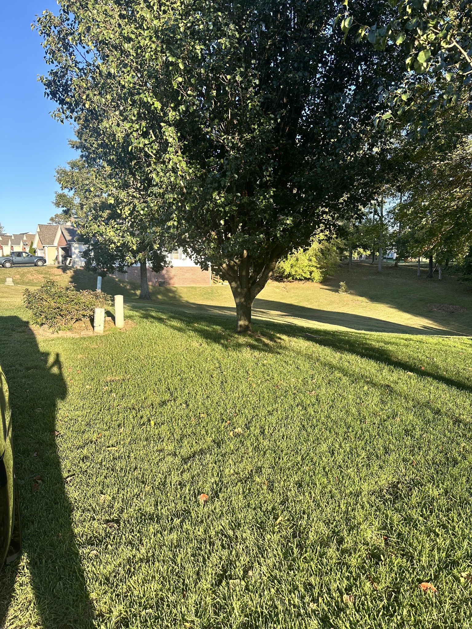 237 Fairway Trace Property Photo 4