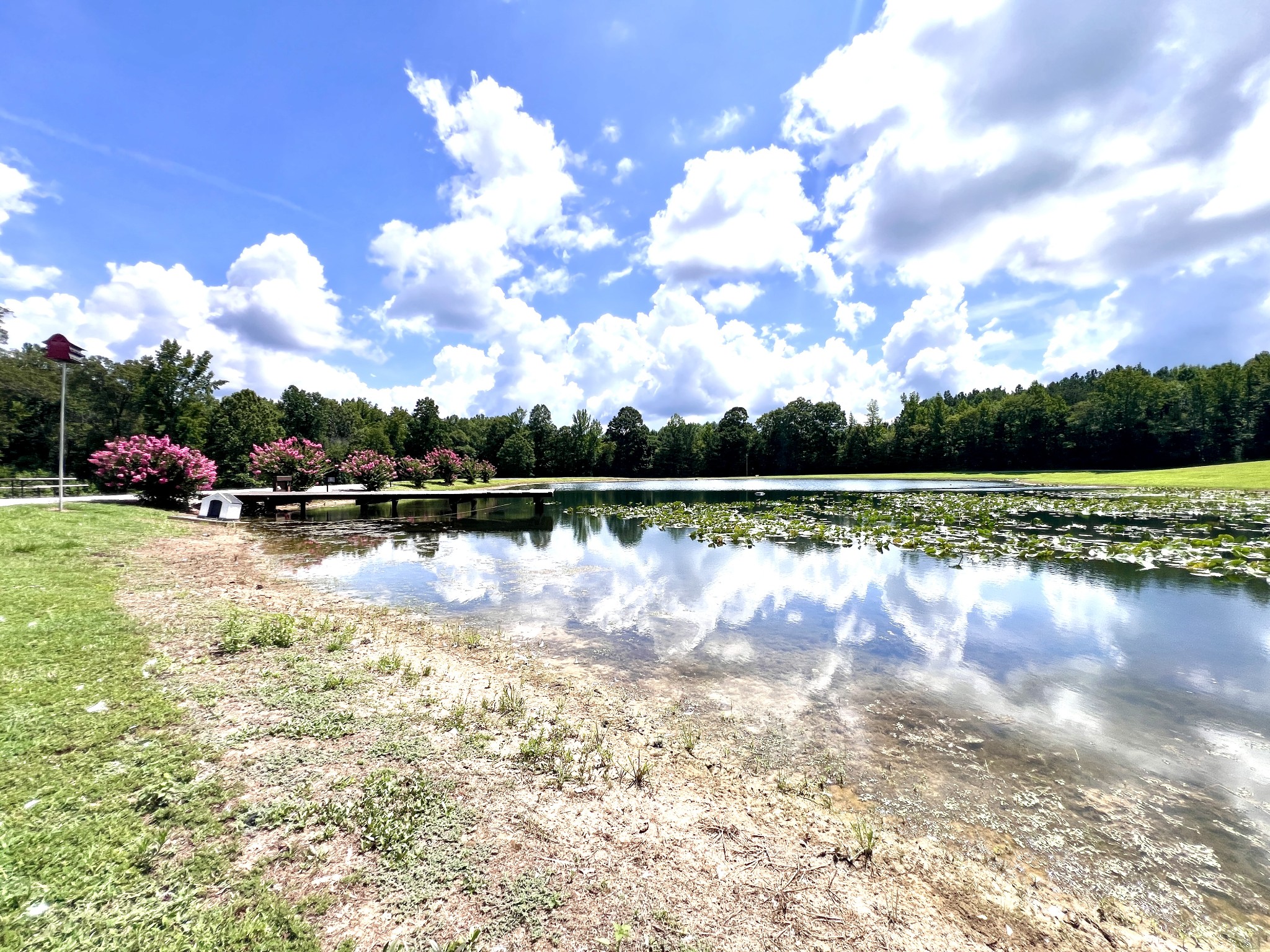 3375 Rowland Mill Rd Property Photo 68