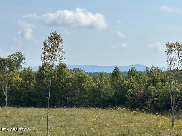 0 Otis Davis Rd Property Photo 2