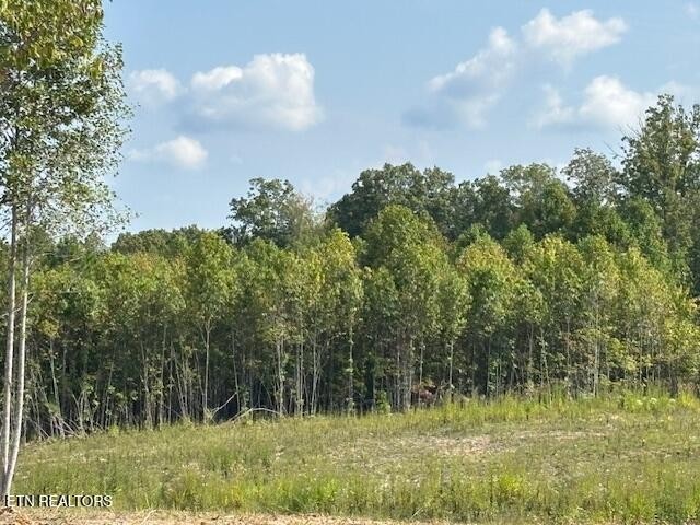 0 Otis Davis Rd Property Photo 3