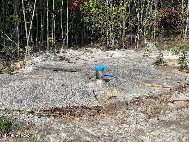 0 Otis Davis Rd Property Photo 5