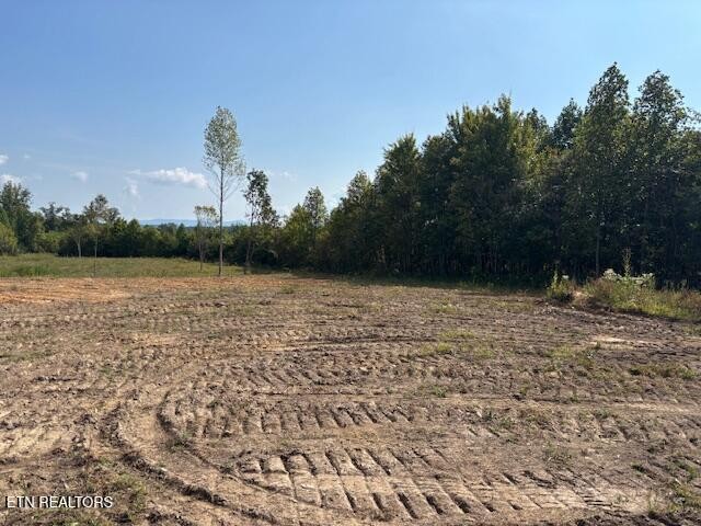 0 Otis Davis Rd Property Photo 6